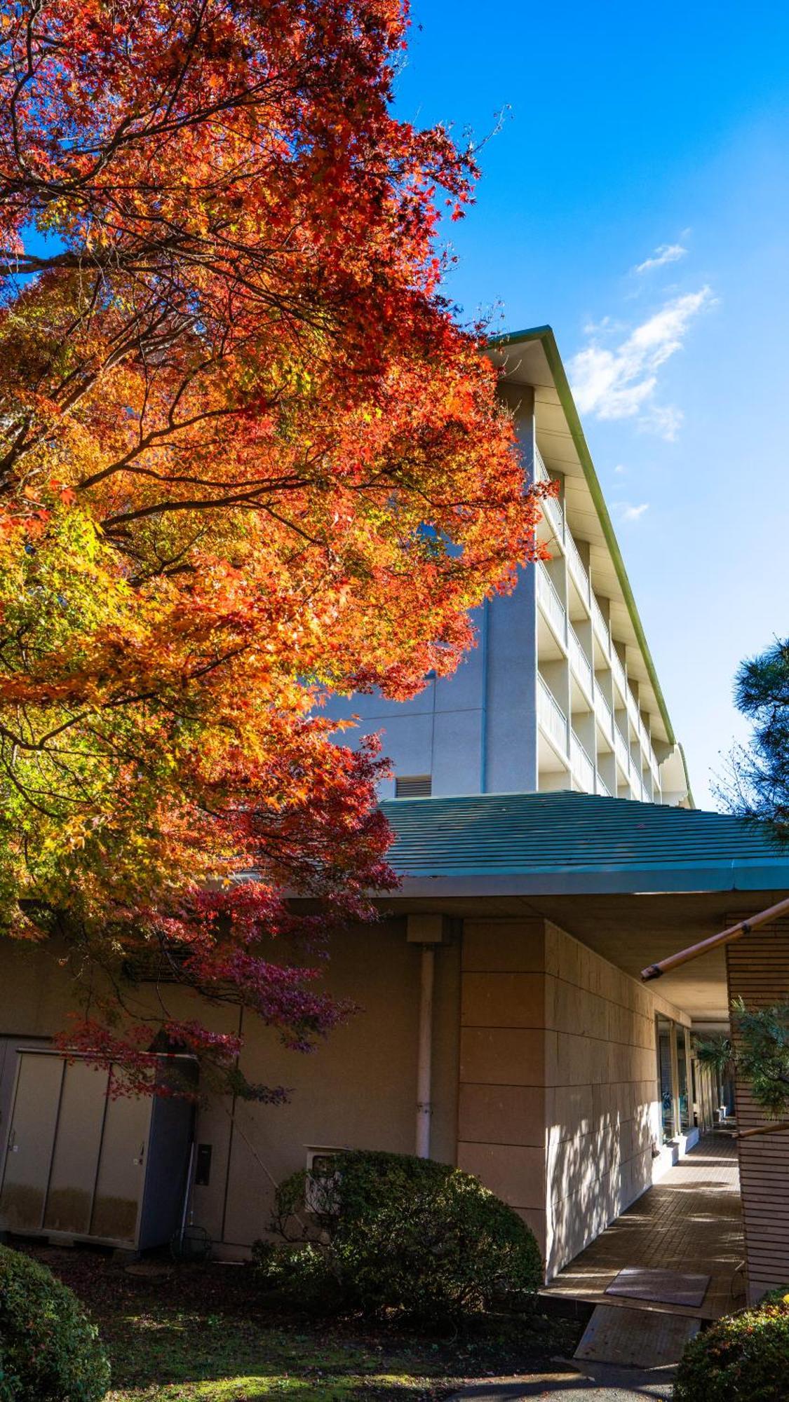 Fuji View Hotel Fujikawaguchiko Exterior foto